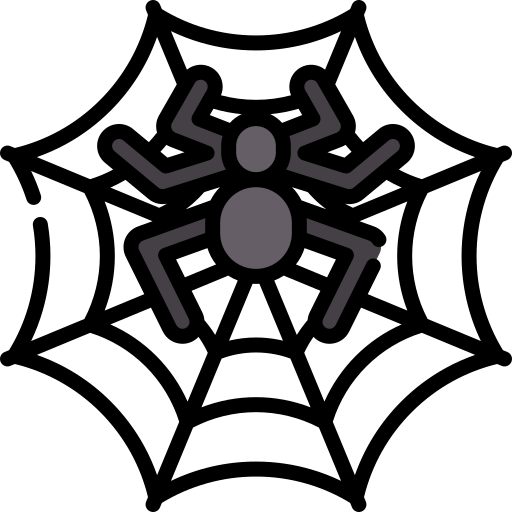 Spider web